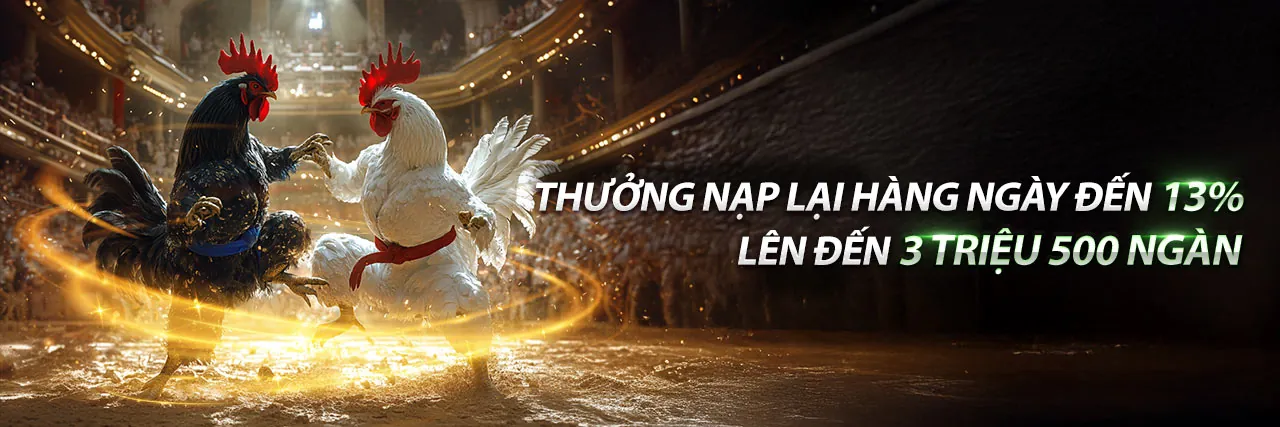 Hỗ trợ khách hàng 88b chuyên nghiệp