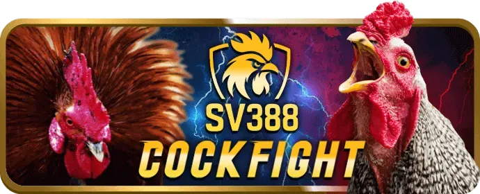 Chương trình VIP 88b